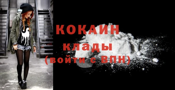 твердый Сосновка