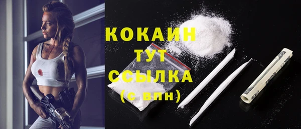 индика Белокуриха