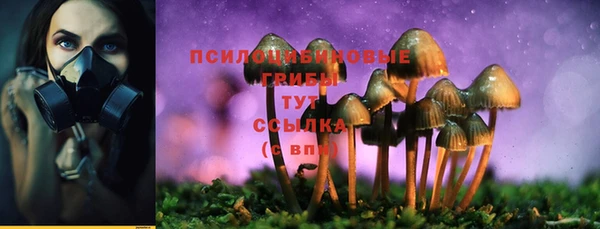 индика Белокуриха