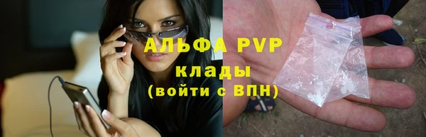 индика Белокуриха