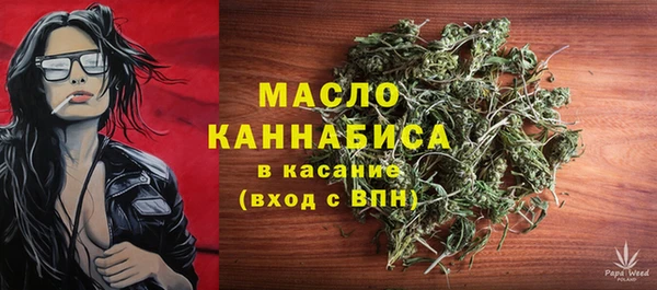 индика Белокуриха