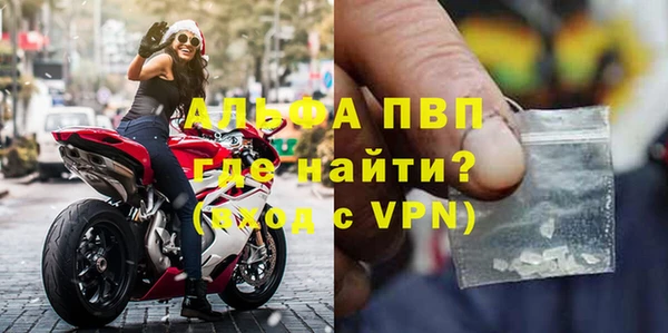 индика Белокуриха