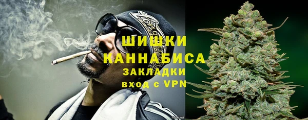 индика Белокуриха