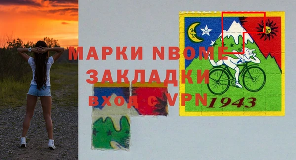 индика Белокуриха